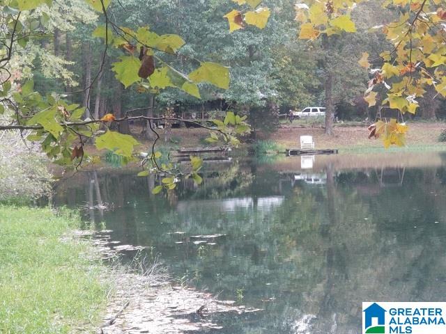 481 Aderholdt Mill Road Jacksonville, AL 36265 - Photo 4 of 10