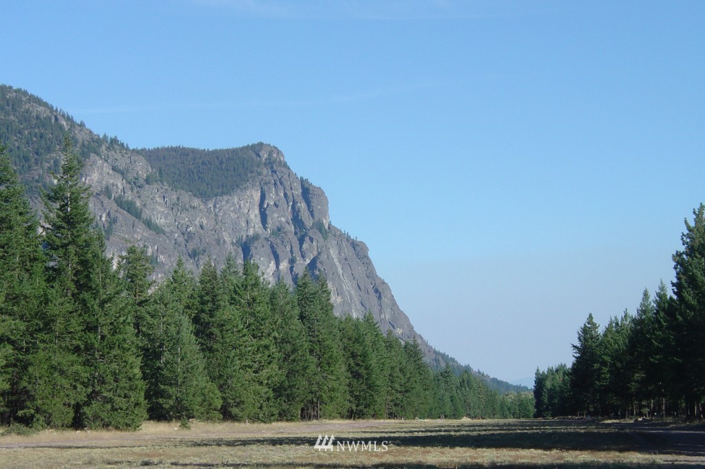 40 Moate Road Mazama, WA 98833 - Photo 2 of 10 Gallery Image 2