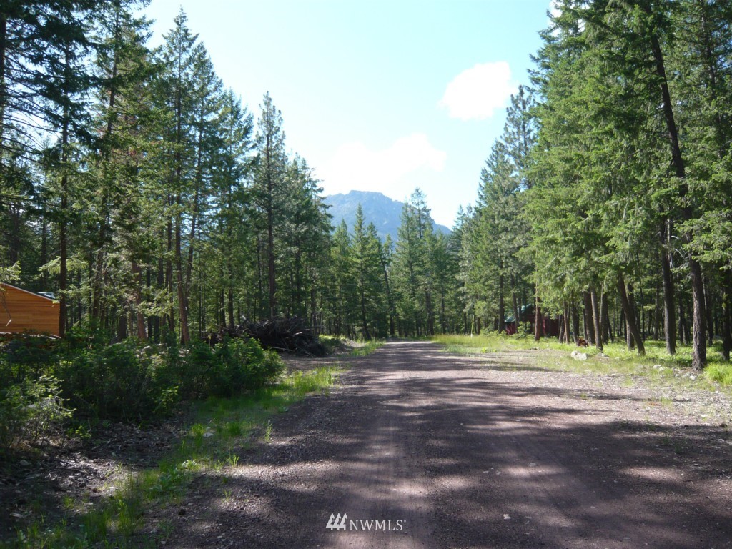 40 Moate Road Mazama, WA 98833 - Photo 3 of 10 Gallery Image 3