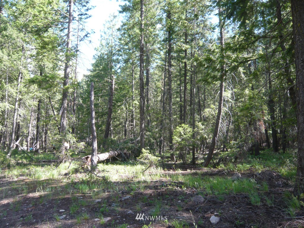 40 Moate Road Mazama, WA 98833 - Photo 6 of 10 Gallery Image 6