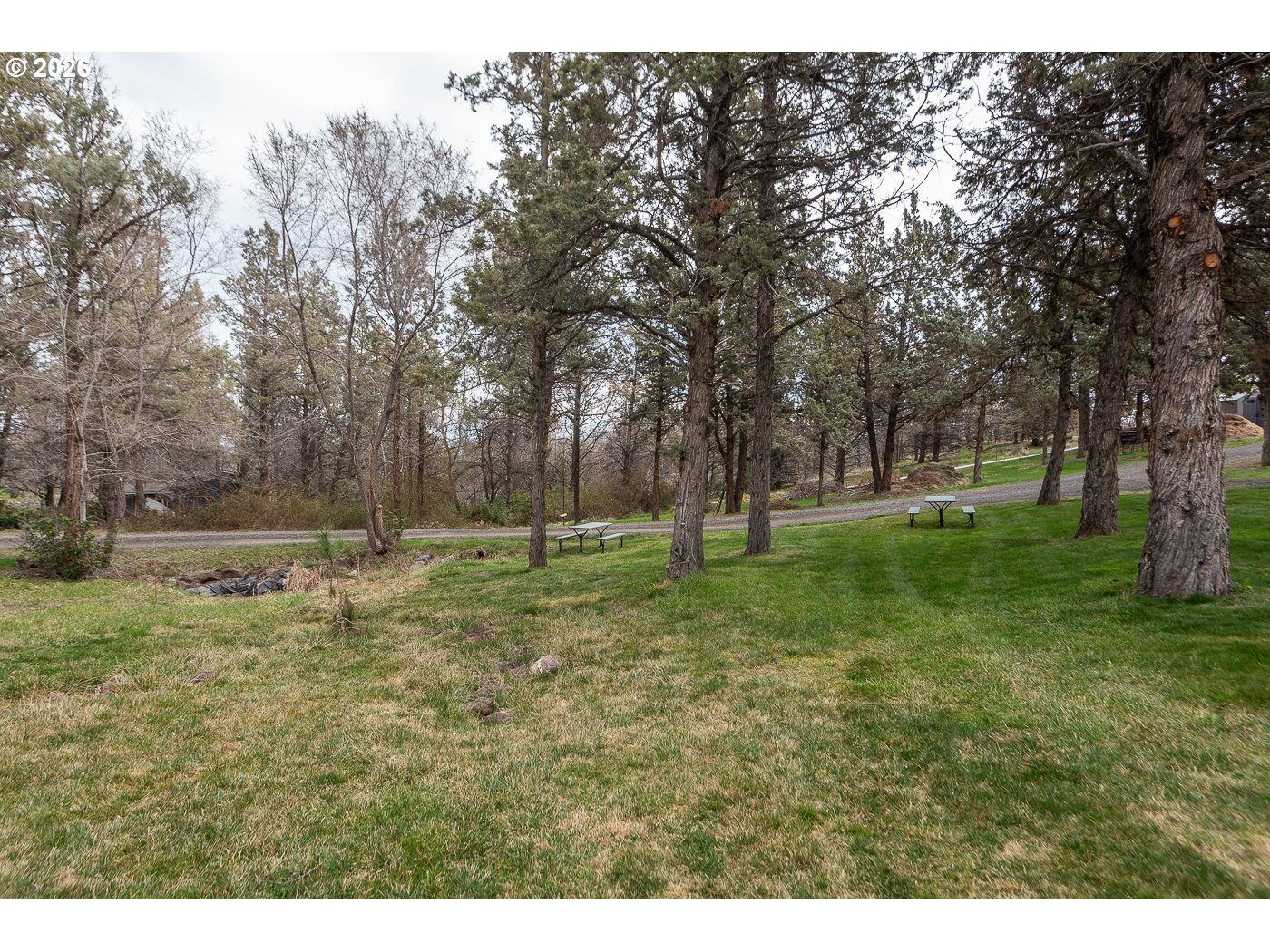 905 Southwest Burns Lane Madras, OR 97741 - Photo 36 of 40 a view of a park with large trees