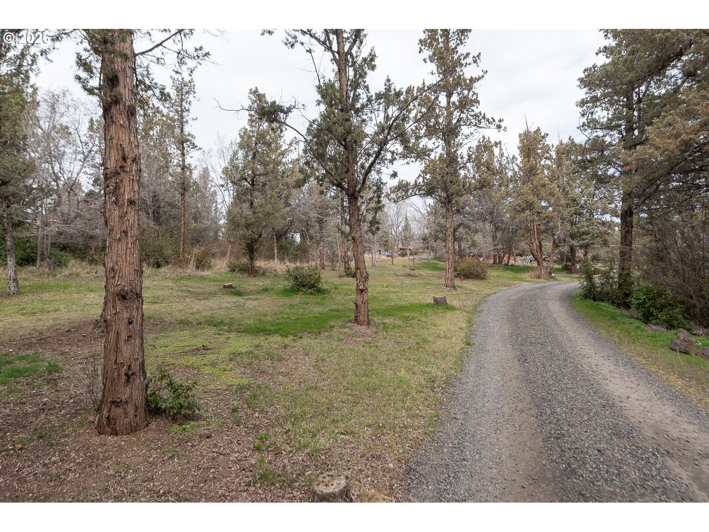 905 Southwest Burns Lane Madras, OR 97741 - Photo 37 of 40 a view of a forest with trees