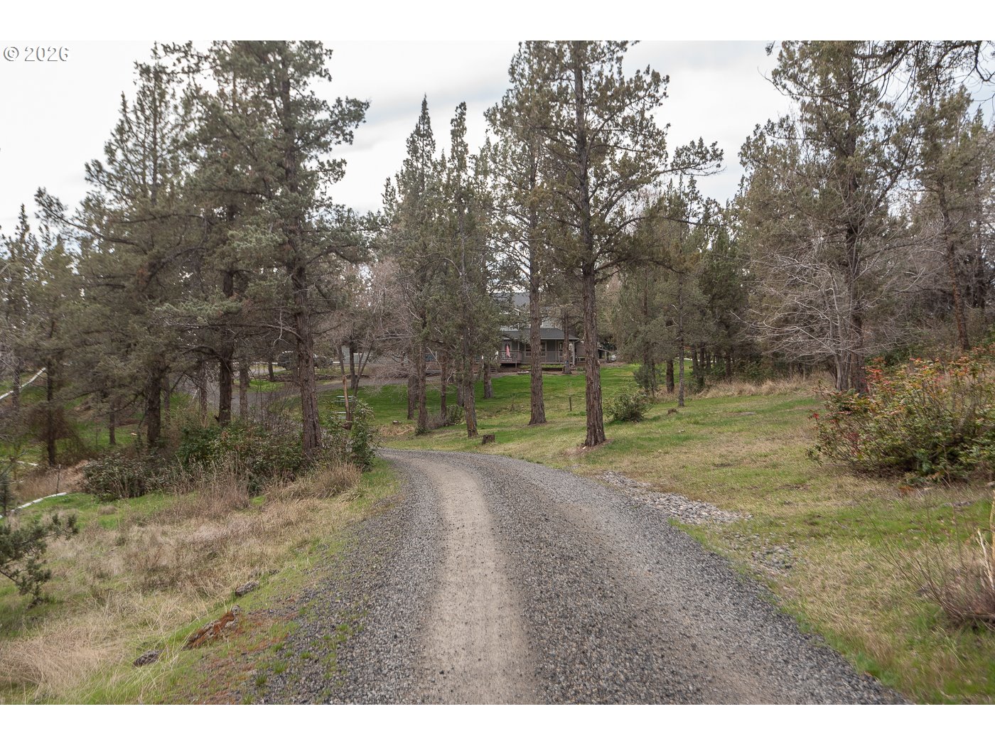 905 Southwest Burns Lane Madras, OR 97741 - Photo 38 of 40 a view of a park with large trees