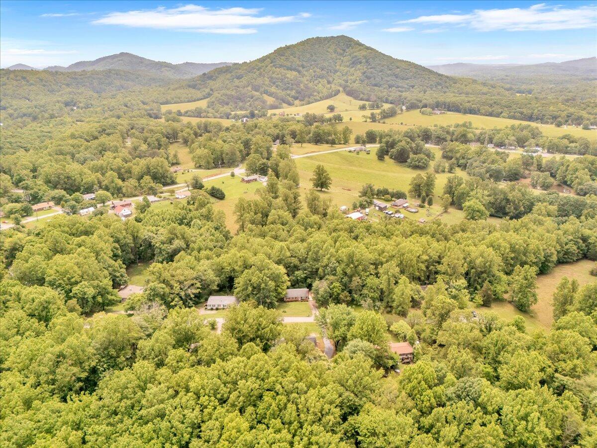 201 Forest Ridge Drive Vinton, VA 24179 - Photo 54 of 57 55-201 Forest Ridge Dr_55