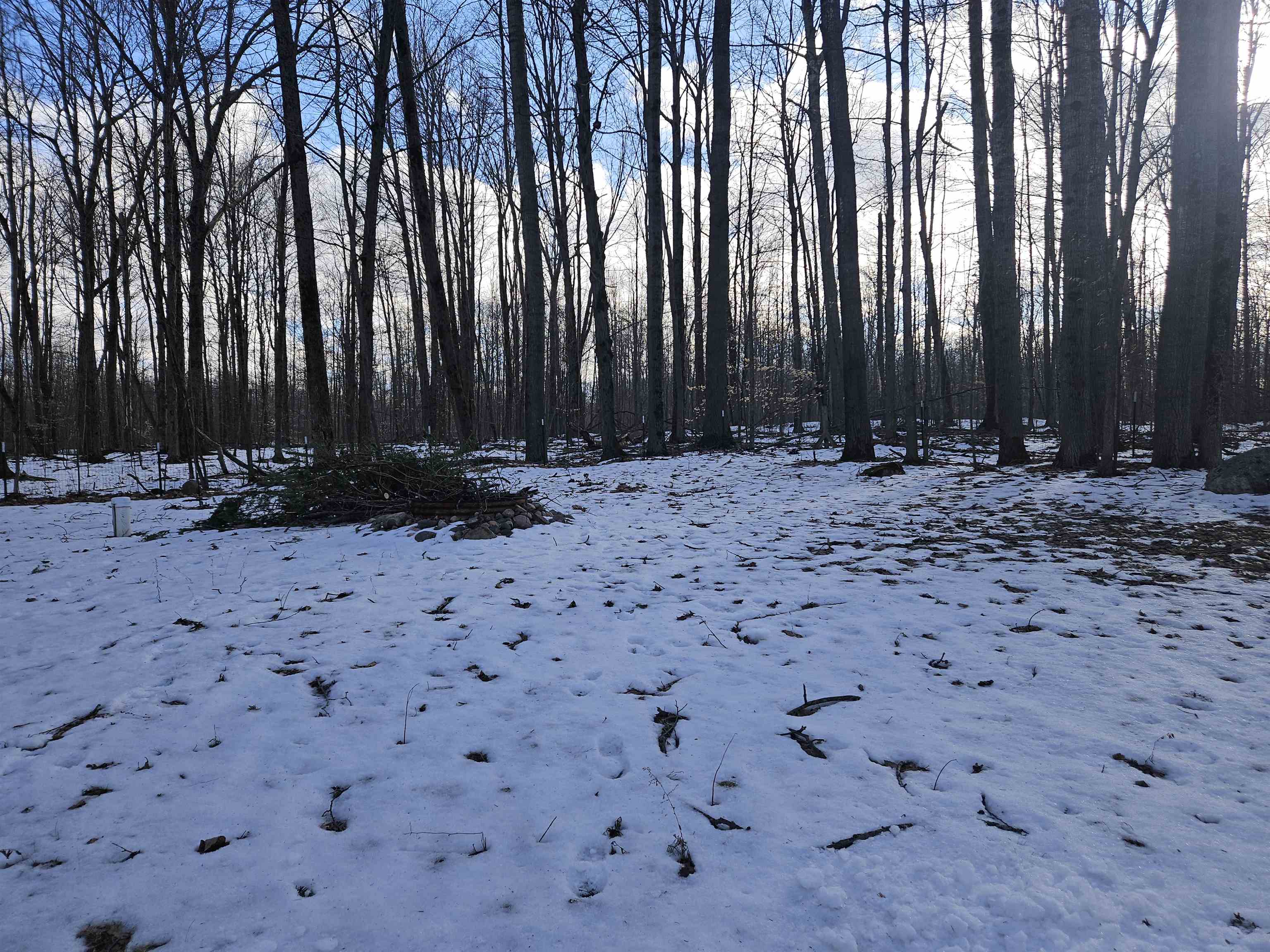 255 West Arnold Lake Road Harrison, MI 48625 - Photo 21 of 27