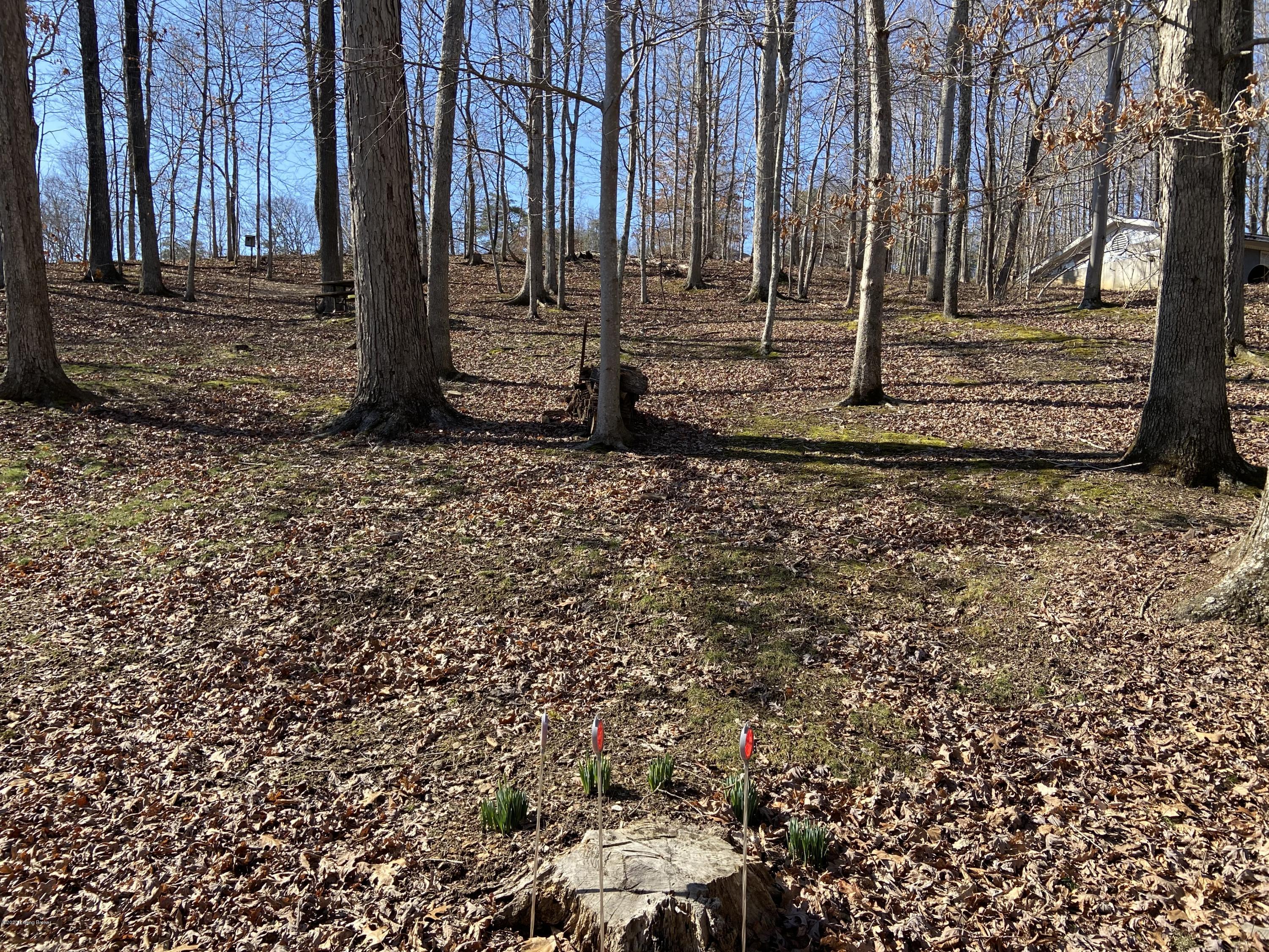 103 Hillview Camp Road Bee Spring, KY 42207 - Photo 15 of 56 IMG-4707