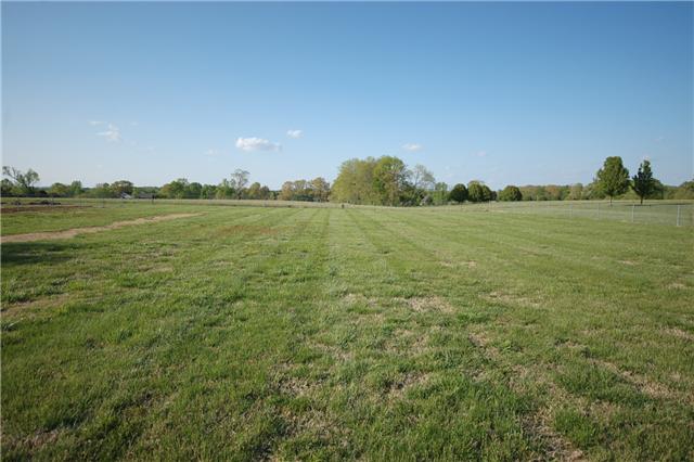 113 Wilson Boat Dock Road Lebanon, TN 37087 - Photo 14 of 20 Gallery Image 14