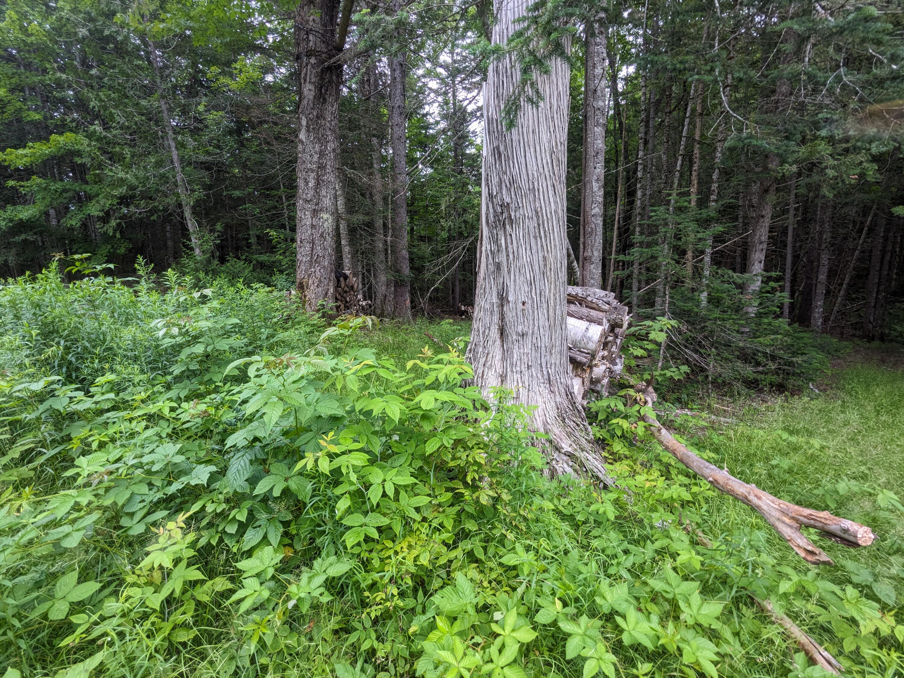 2 Greenville Road Shirley Mills, ME 04485 - Photo 29 of 40 PXL_20230715_213043744