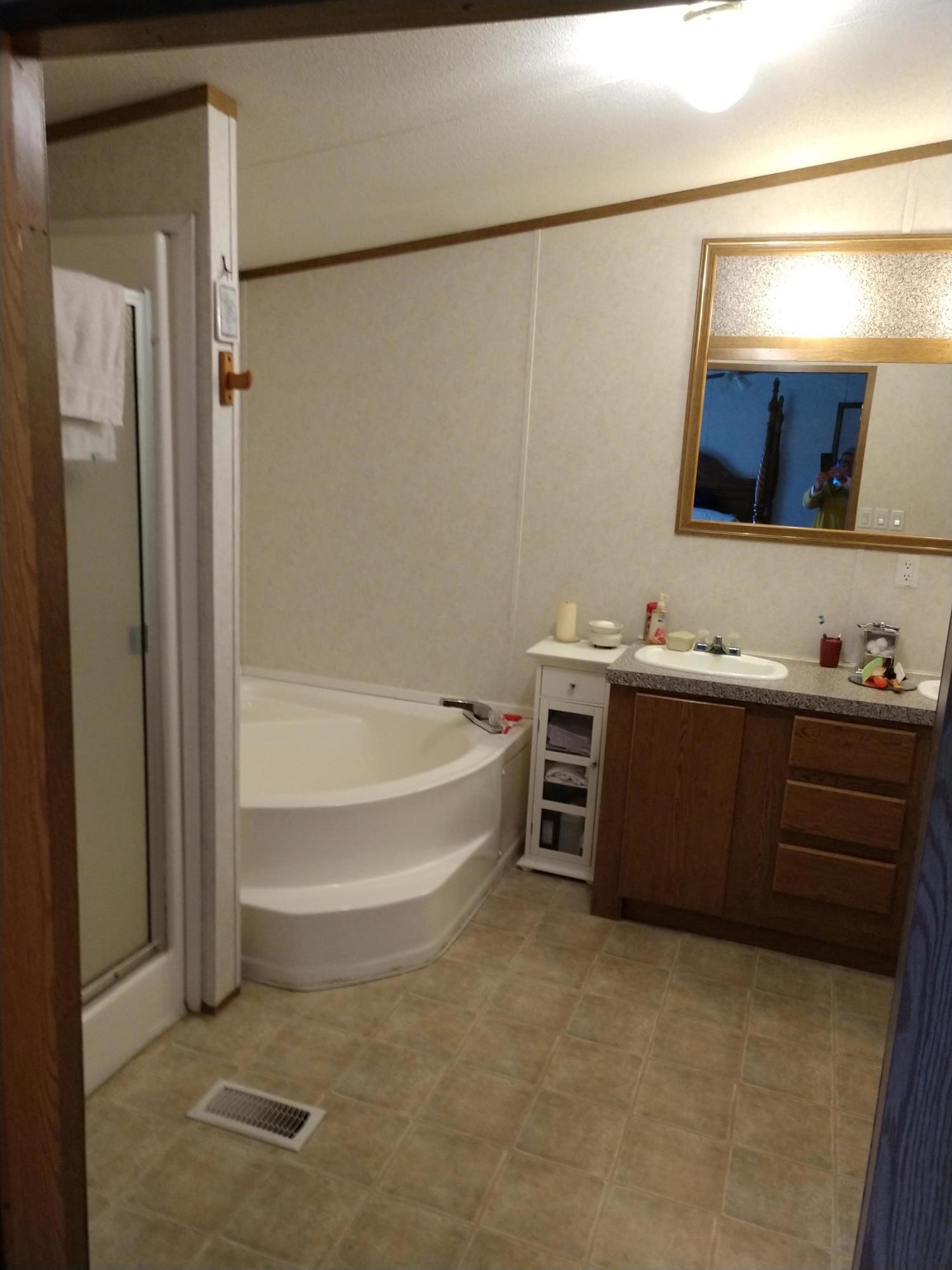924 Chestnut Grove Road Dandridge, TN 37725 - Photo 21 of 24 Master Bath 1