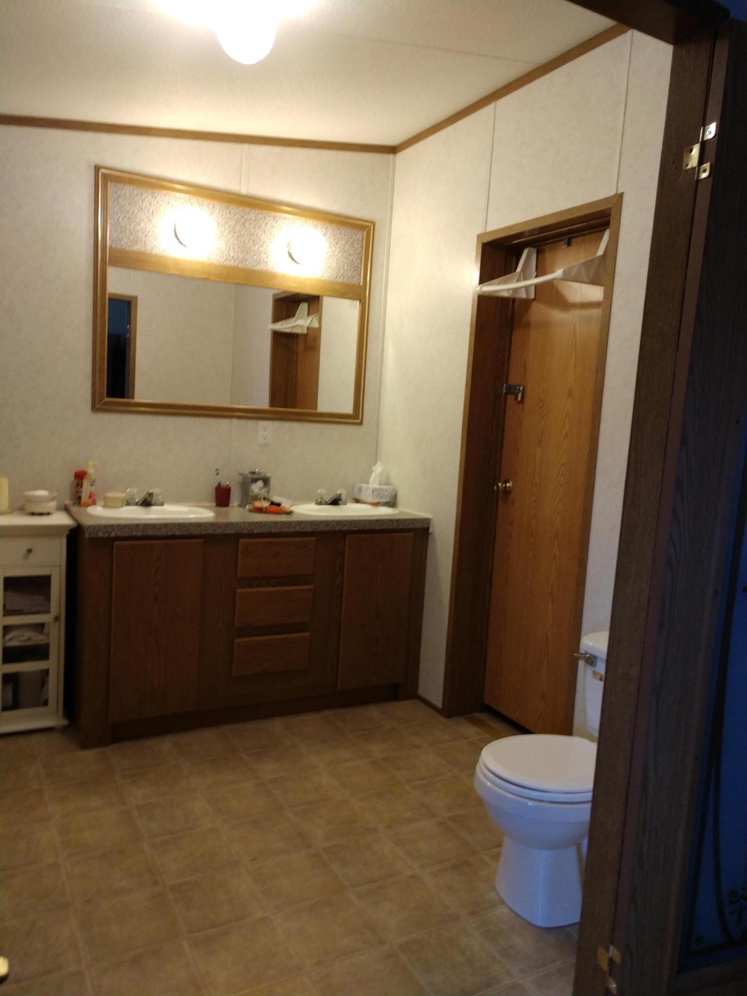 924 Chestnut Grove Road Dandridge, TN 37725 - Photo 22 of 24 Master Bath