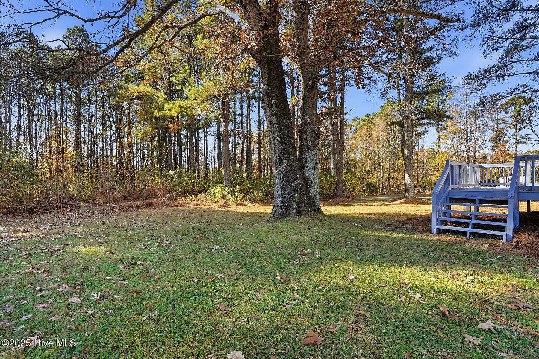 4062 Pine Tree Hollow Road Oxford, NC 27565 - Photo 24 of 27 back yard