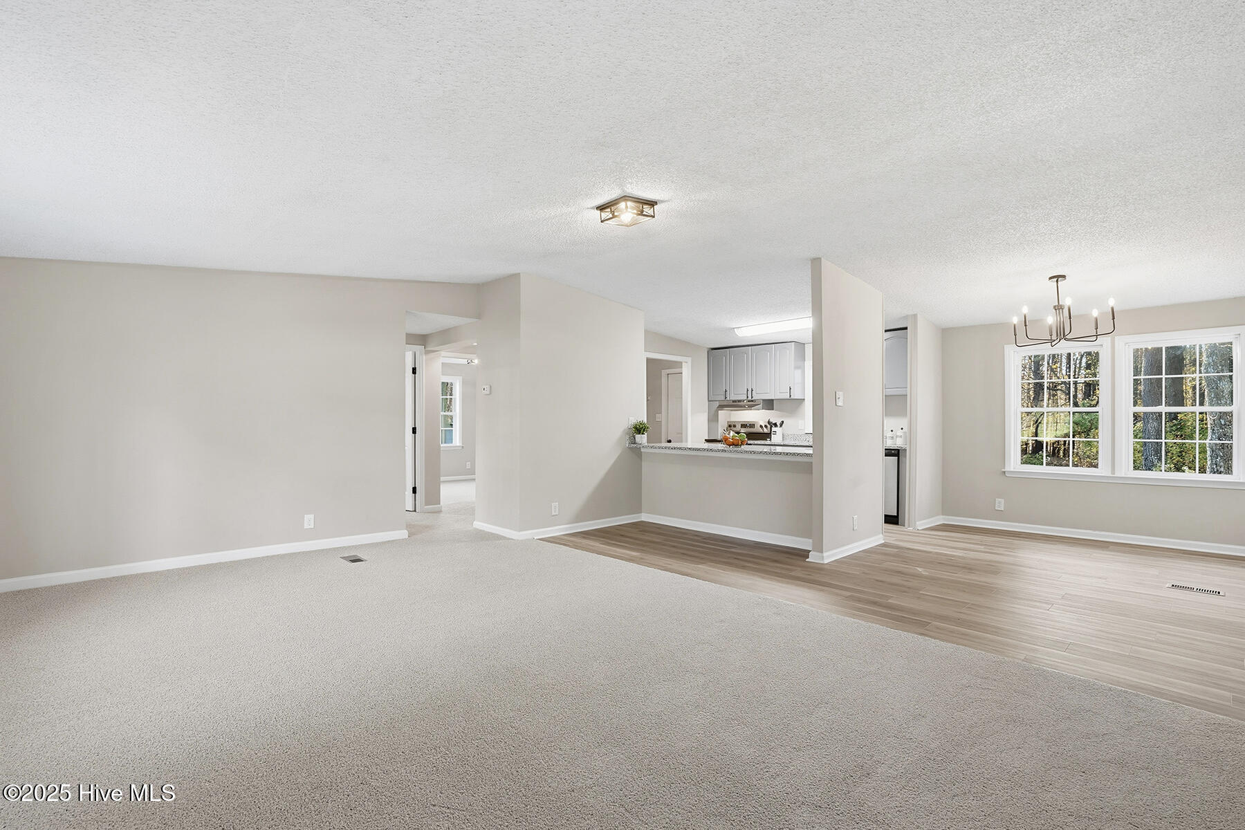 4062 Pine Tree Hollow Road Oxford, NC 27565 - Photo 5 of 27 LIving Room