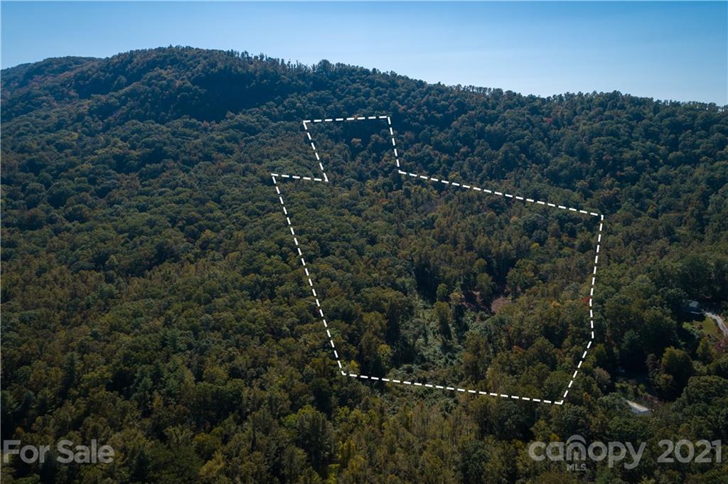 9999 Bishop Cove Road Fairview, NC 28730 - Photo 2 of 33 a view of a forest with a forest