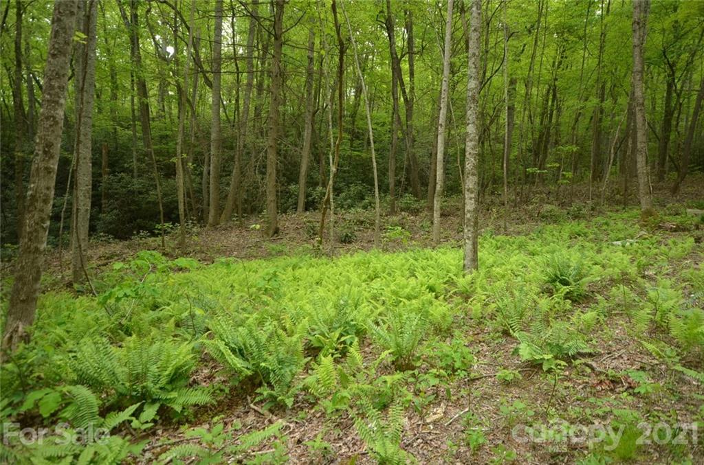 9999 Bishop Cove Road Fairview, NC 28730 - Photo 12 of 33 a view of backyard with green space
