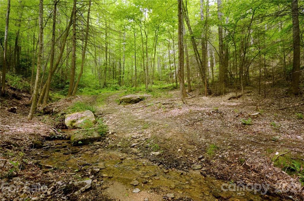 9999 Bishop Cove Road Fairview, NC 28730 - Photo 19 of 33 a backyard of a house with lots of green space