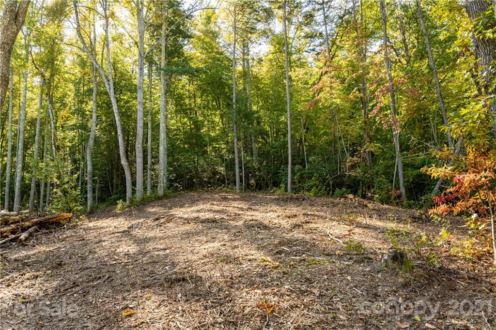 9999 Bishop Cove Road Fairview, NC 28730 - Photo 23 of 33 a view of outdoor space with trees