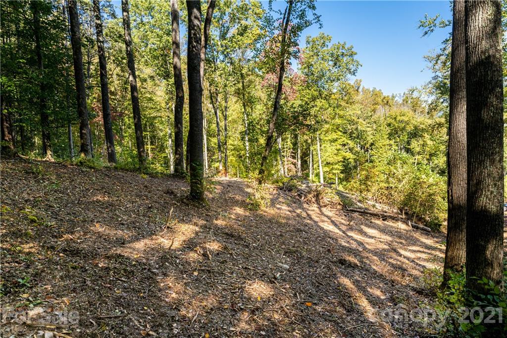 9999 Bishop Cove Road Fairview, NC 28730 - Photo 29 of 33 a view of forest