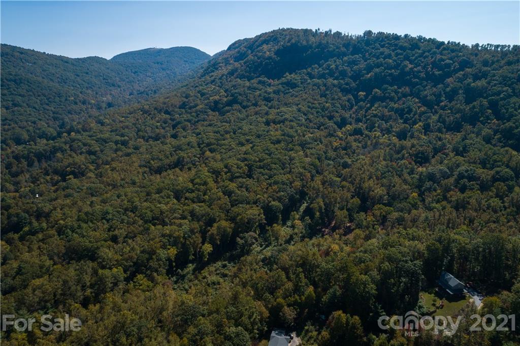 9999 Bishop Cove Road Fairview, NC 28730 - Photo 5 of 33 a view of a large mountain with a mountain in the background