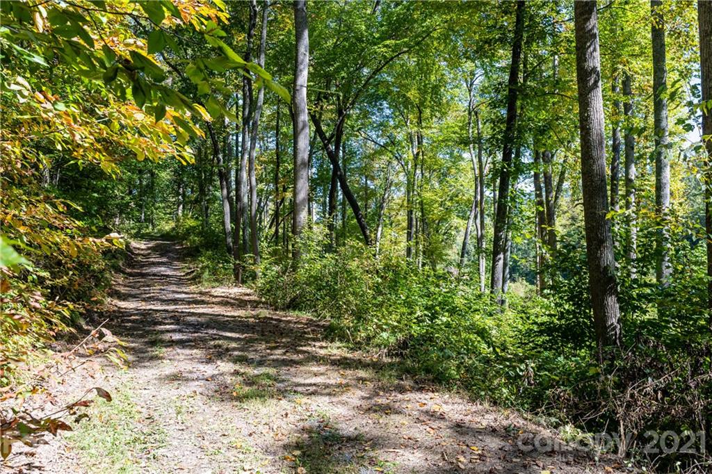 9999 Bishop Cove Road Fairview, NC 28730 - Photo 6 of 33 a view of outdoor space and trees