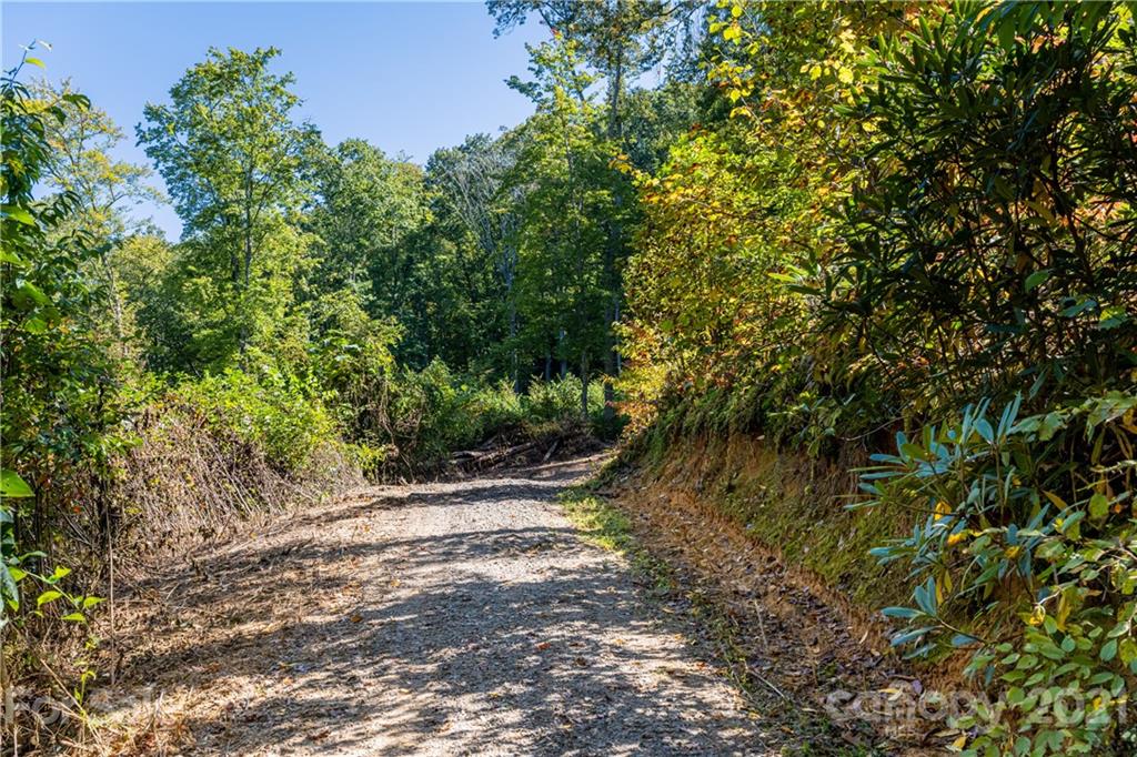 9999 Bishop Cove Road Fairview, NC 28730 - Photo 7 of 33 a view of outdoor space and yard
