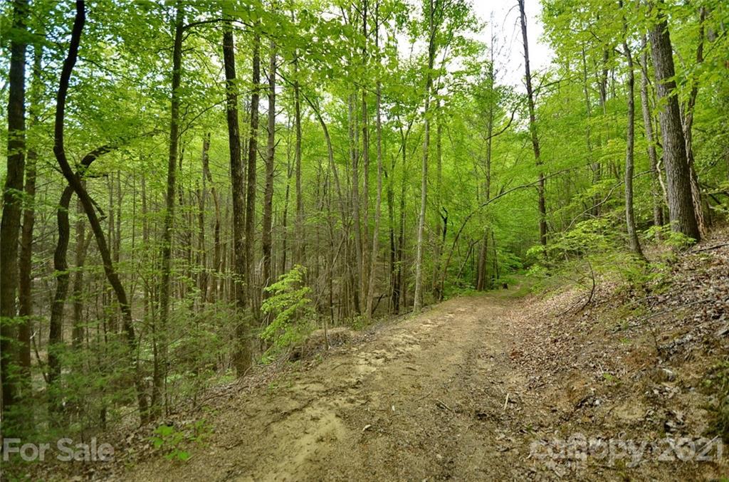 9999 Bishop Cove Road Fairview, NC 28730 - Photo 9 of 33