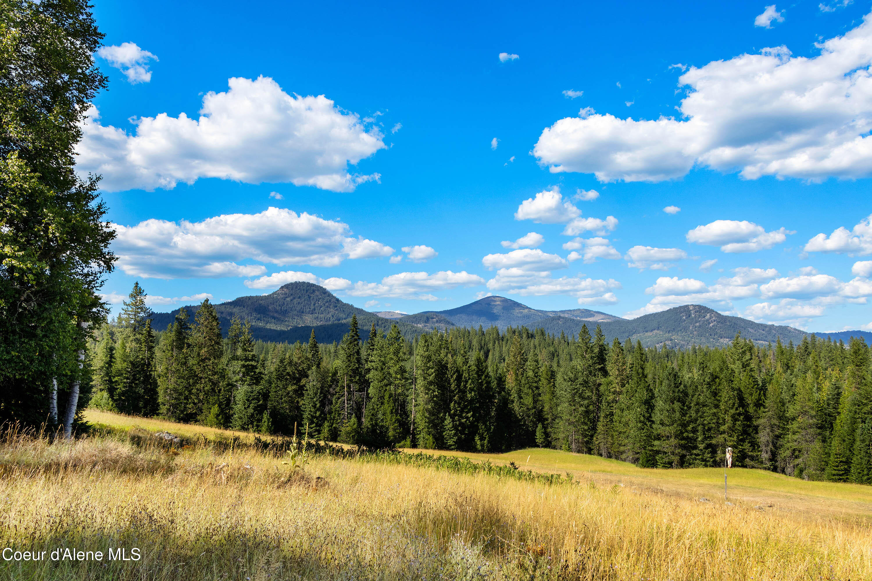 2340 Helen Thompson Road Sandpoint, ID 83864 - Photo 1 of 1 Wide Open Views