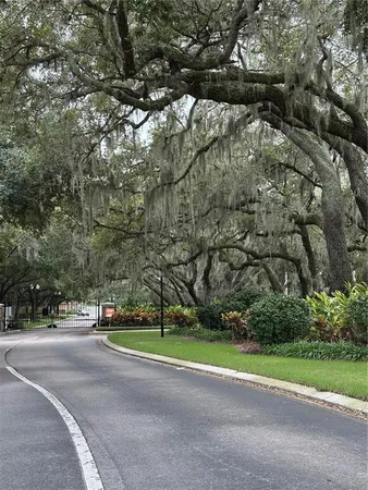a view of a park with large trees