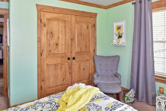 1500 Fish Creek Road Bancroft, ID 83217 - Photo 18 of 45 Carpeted bedroom featuring baseboards