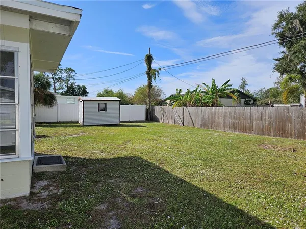 a view of a backyard with potted plants and large tree