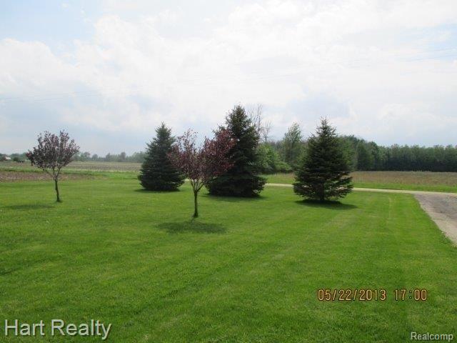 8900 Cargill Road Marlette, MI 48453 - Photo 24 of 25 IMG_0169.jpg