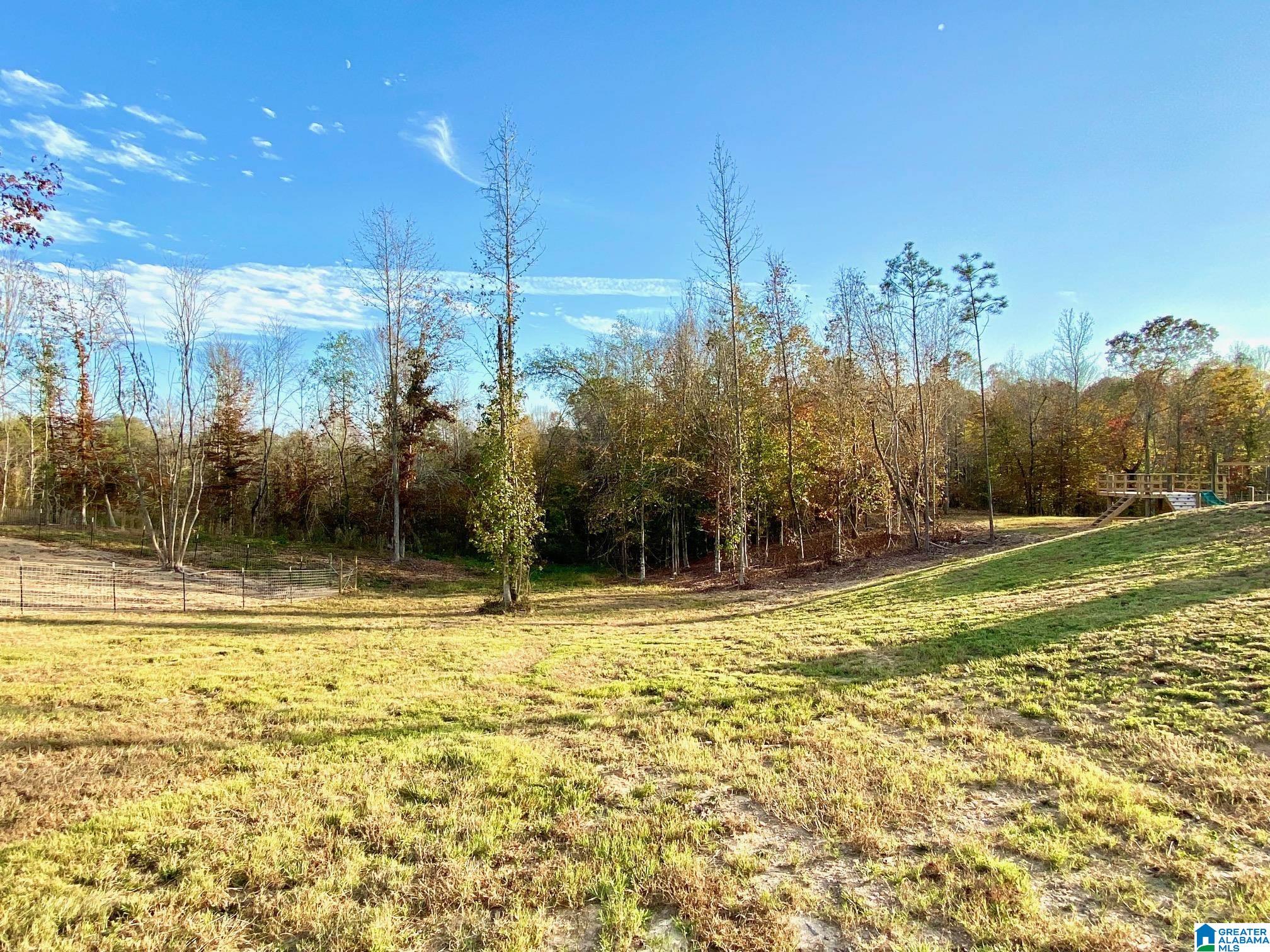 325 County Road 13 Heflin, AL 36264 - Photo 8 of 56