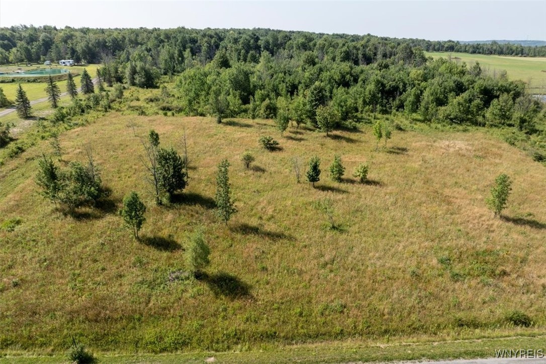 Murray Hill Road Boston, NY 14025 - Photo 11 of 13