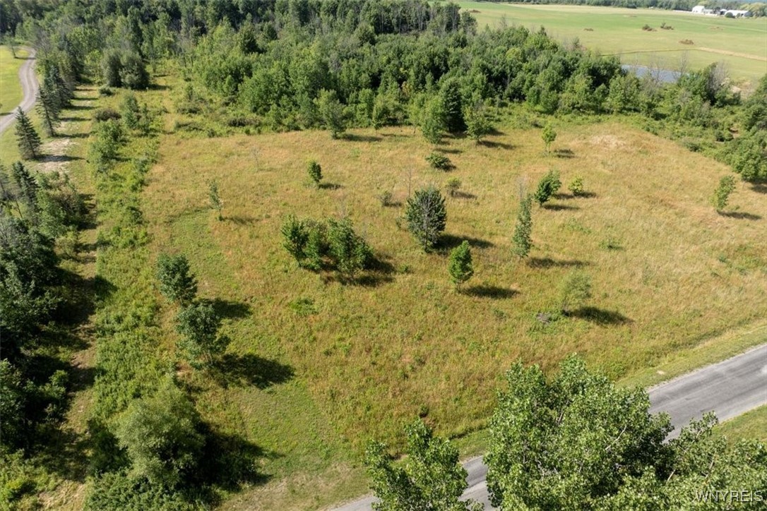 Murray Hill Road Boston, NY 14025 - Photo 13 of 13