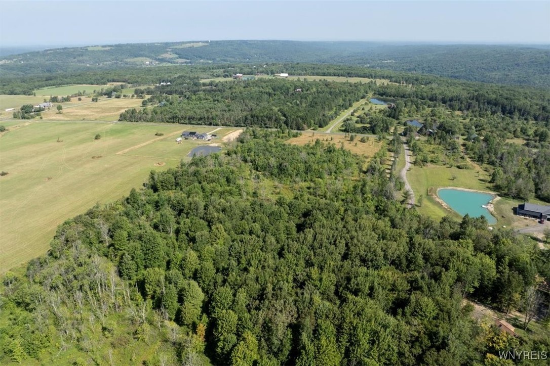 Murray Hill Road Boston, NY 14025 - Photo 6 of 13