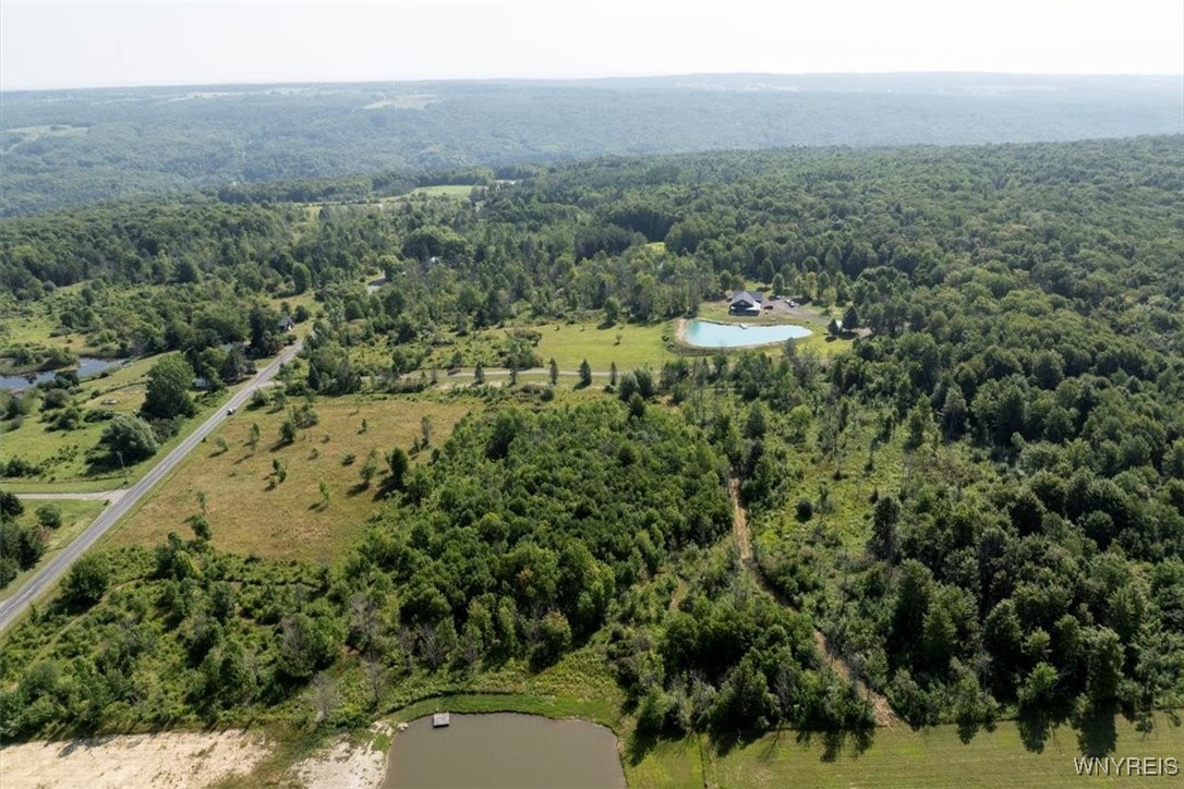 Murray Hill Road Boston, NY 14025 - Photo 8 of 13