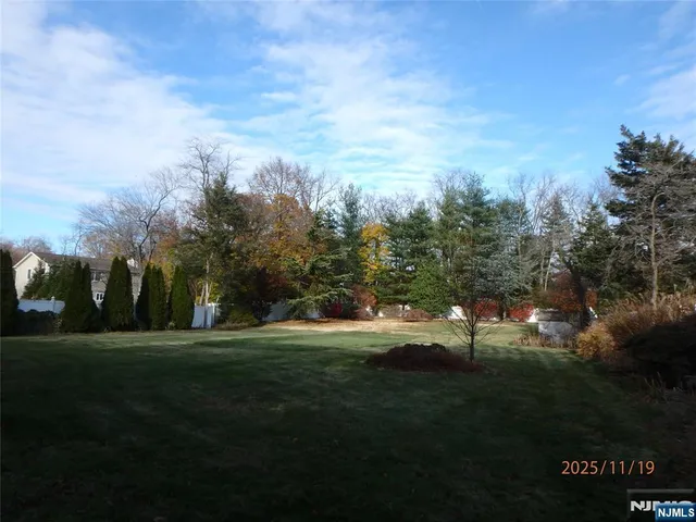 a view of grassy field with trees