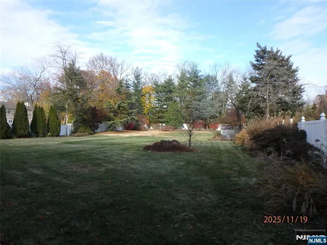 a view of a park with large trees