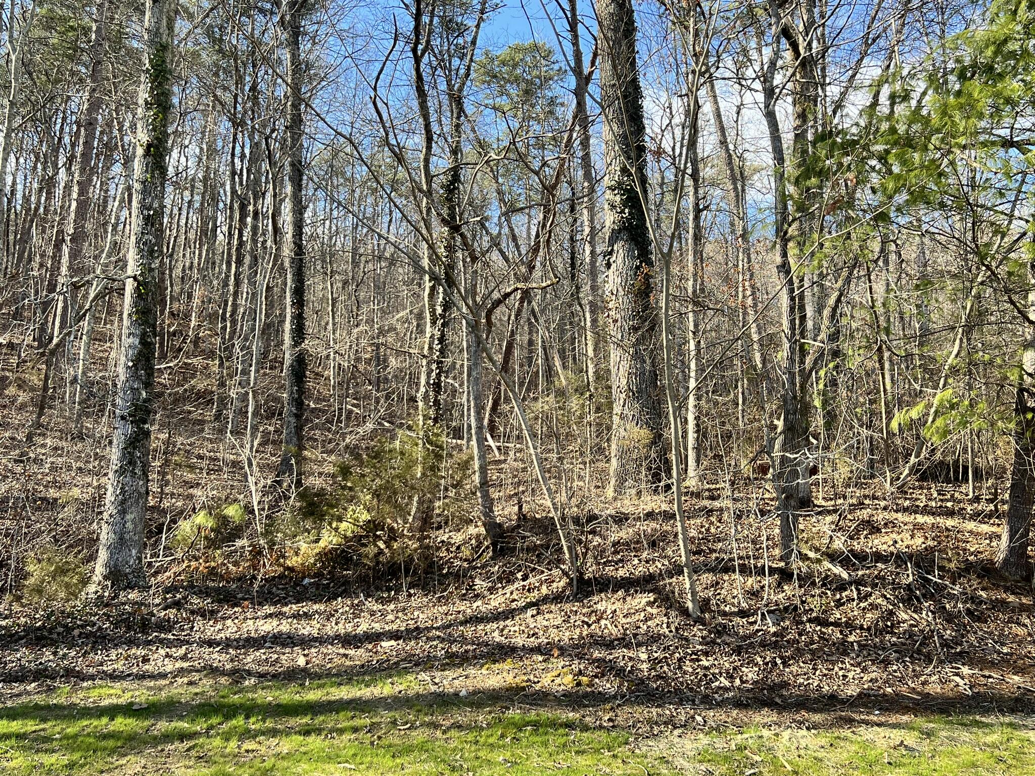 1749 Parksville Road Benton, TN 37307 - Photo 45 of 48 IMG_9632