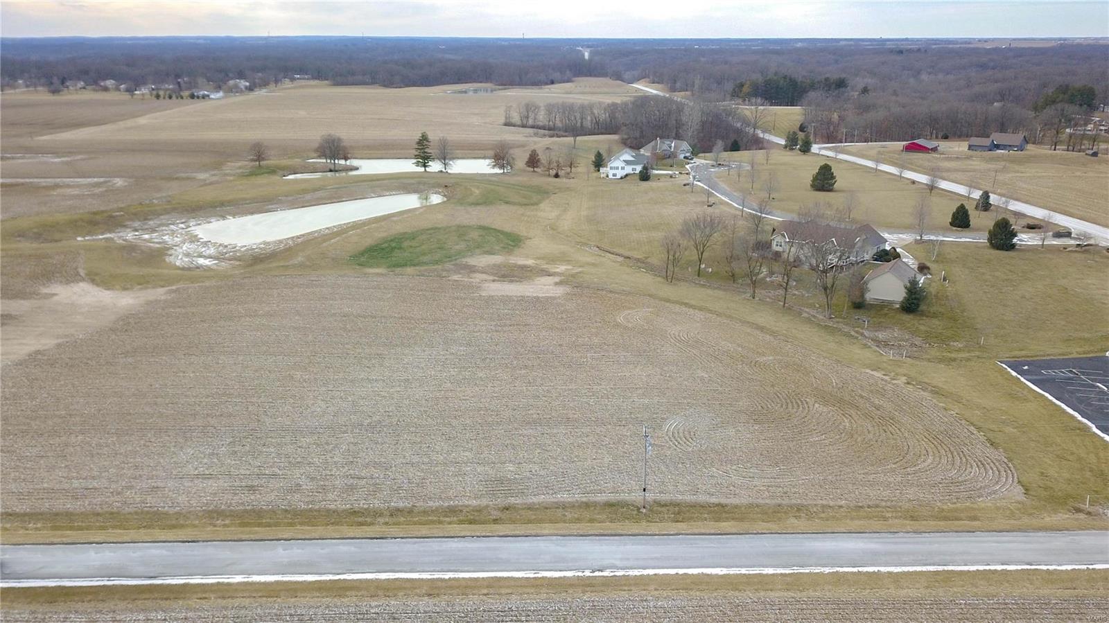 0 Lageman Lane Brighton, IL 62012 - Photo 3 of 6