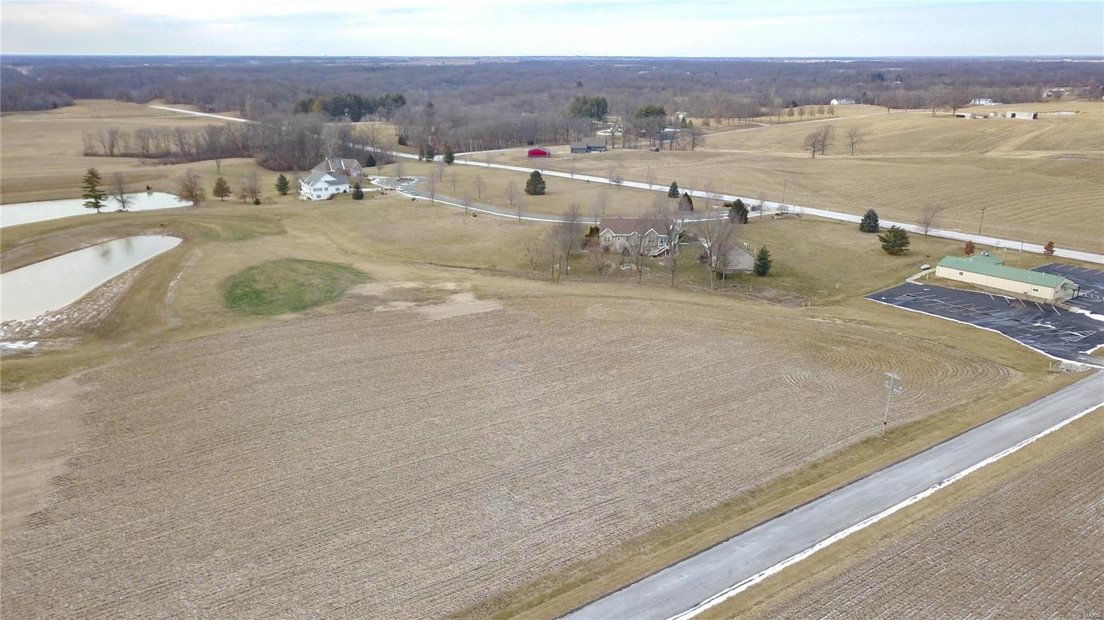 0 Lageman Lane Brighton, IL 62012 - Photo 4 of 6