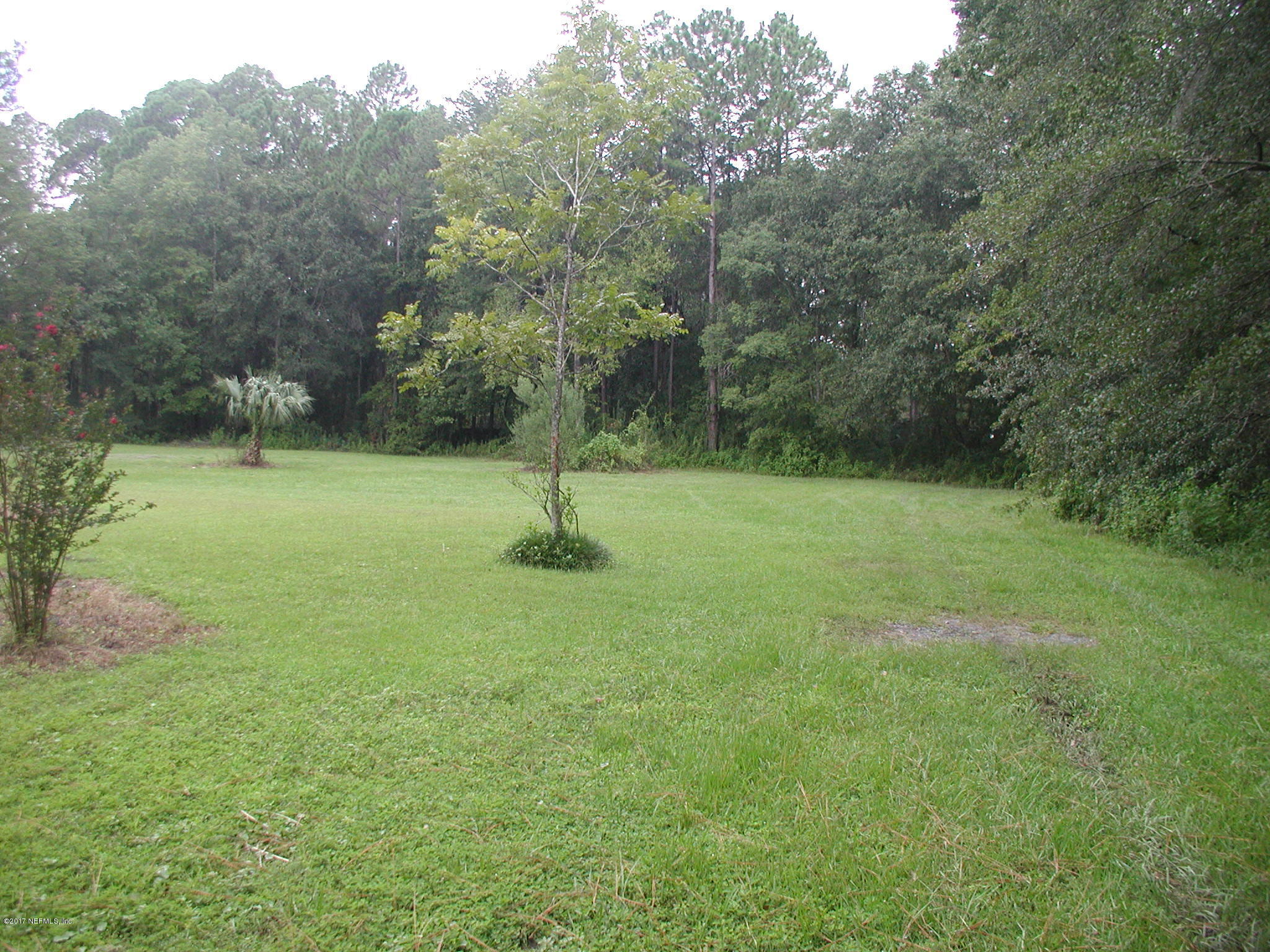 1154 Cox Road Jacksonville, FL 32221 - Photo 1 of 16 P8301790