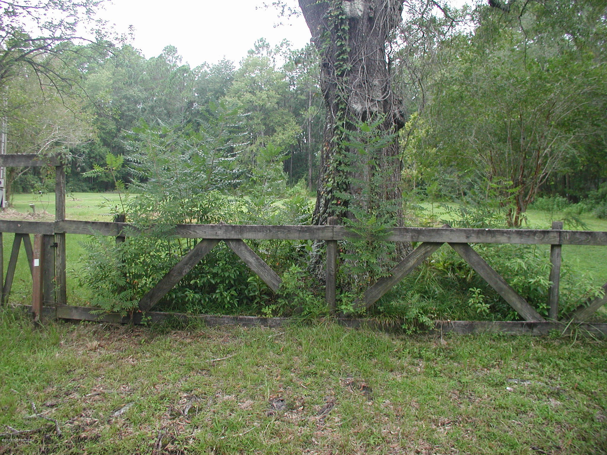 1154 Cox Road Jacksonville, FL 32221 - Photo 15 of 16 P8301807