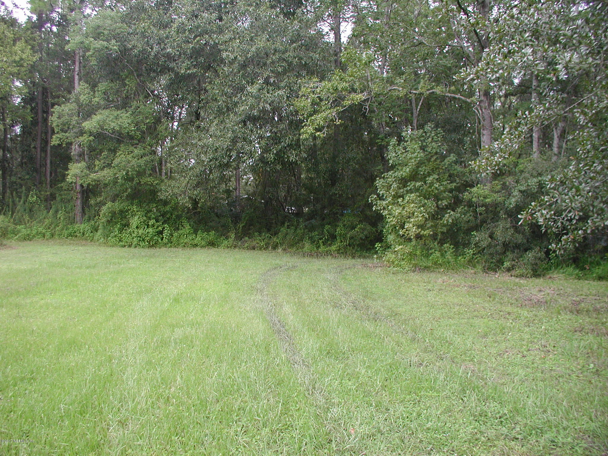 1154 Cox Road Jacksonville, FL 32221 - Photo 2 of 16 P8301792