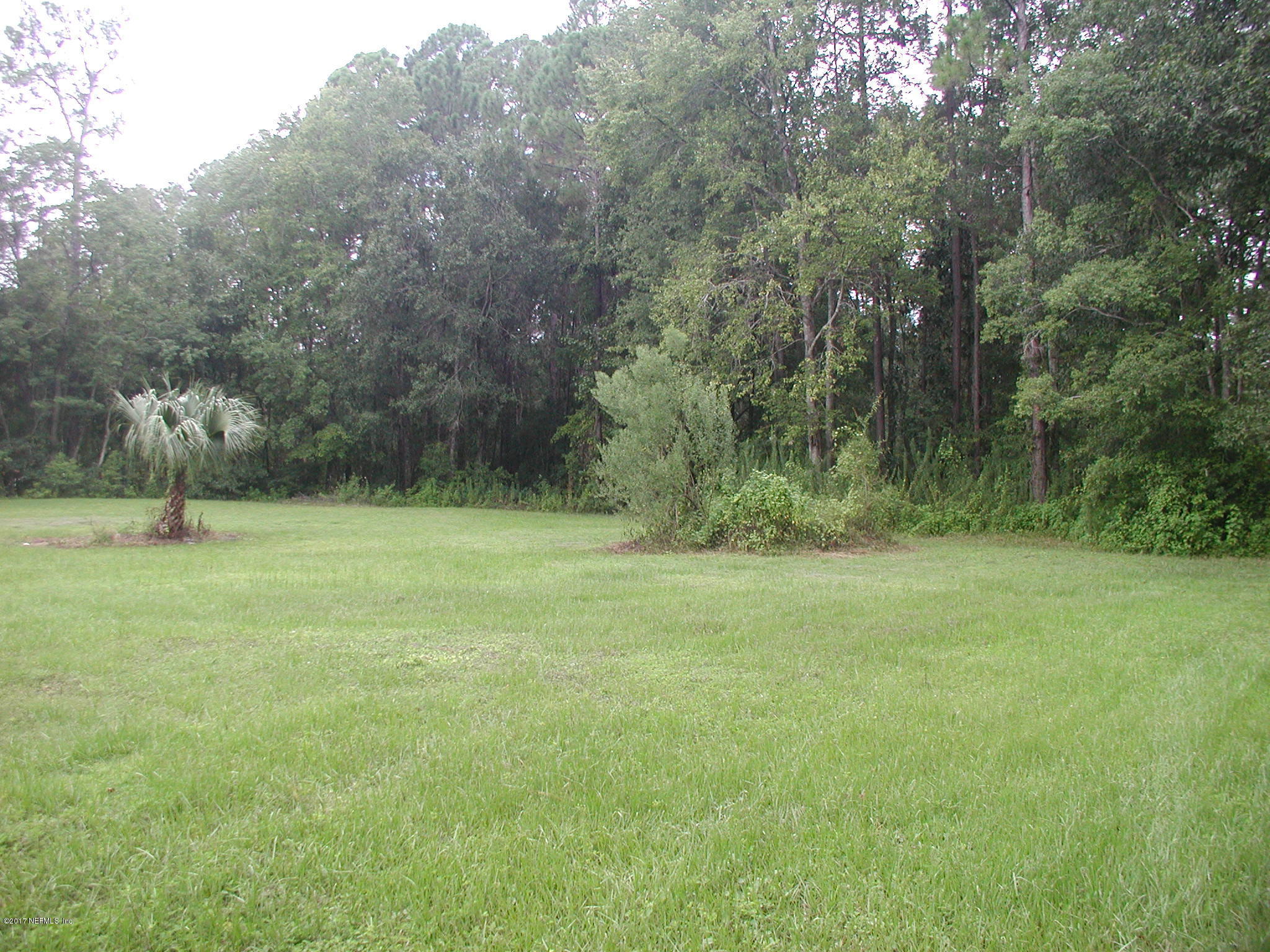 1154 Cox Road Jacksonville, FL 32221 - Photo 3 of 16 P8301793
