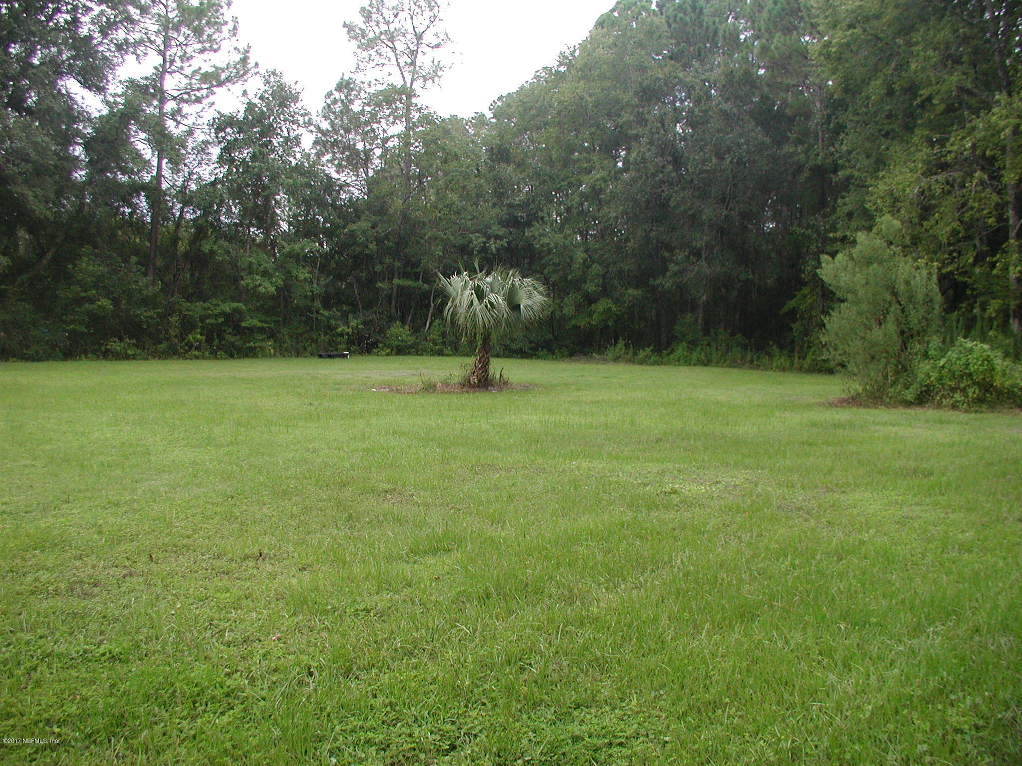 1154 Cox Road Jacksonville, FL 32221 - Photo 4 of 16 P8301794