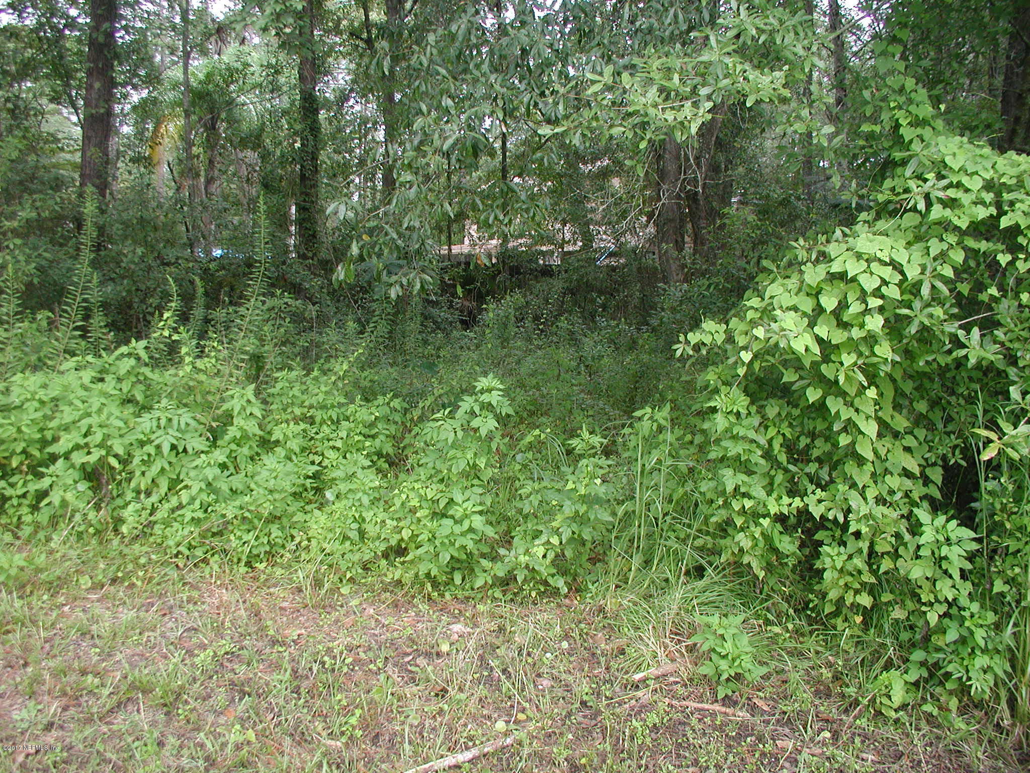 1154 Cox Road Jacksonville, FL 32221 - Photo 5 of 16 P8301795