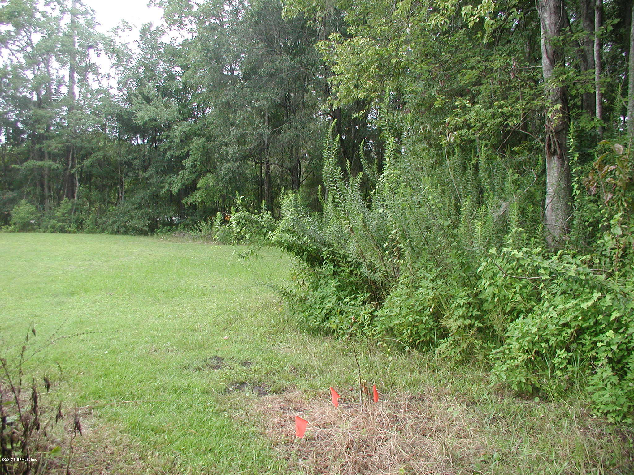1154 Cox Road Jacksonville, FL 32221 - Photo 6 of 16 P8301796