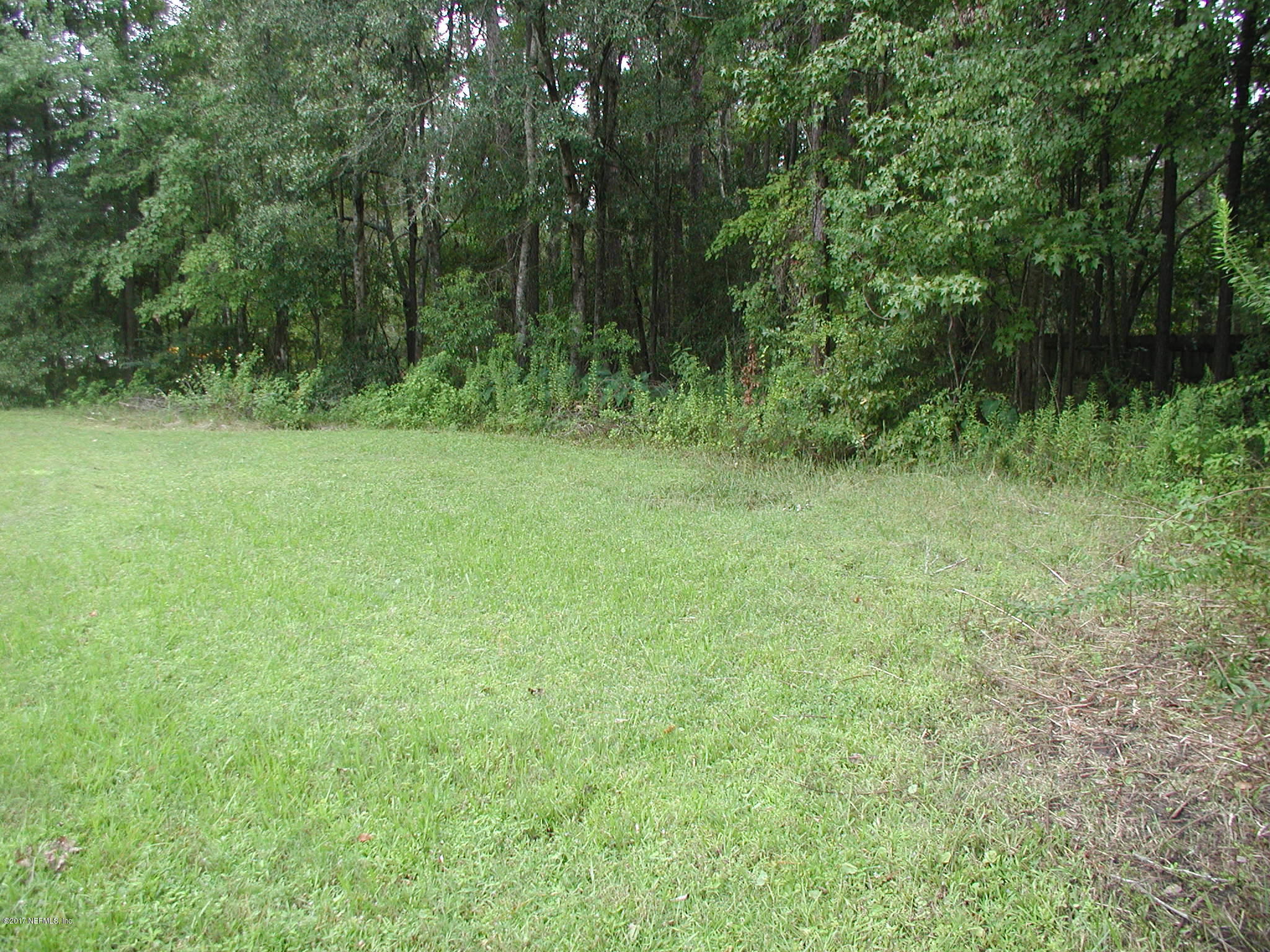 1154 Cox Road Jacksonville, FL 32221 - Photo 7 of 16 P8301797