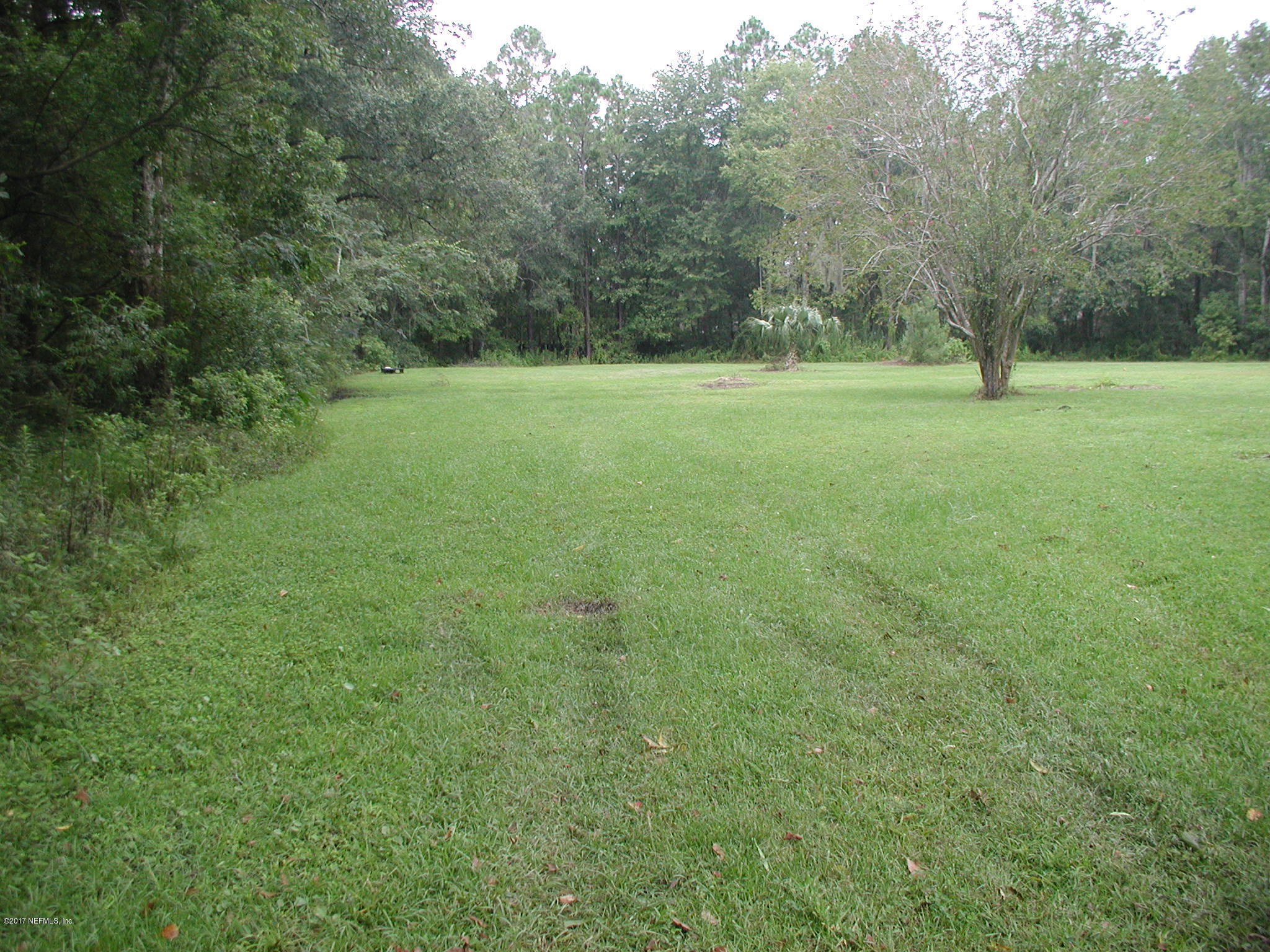 1154 Cox Road Jacksonville, FL 32221 - Photo 9 of 16 P8301801