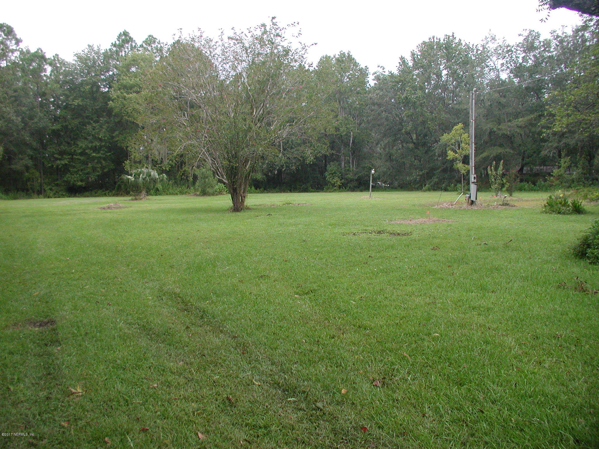1154 Cox Road Jacksonville, FL 32221 - Photo 10 of 16 P8301802